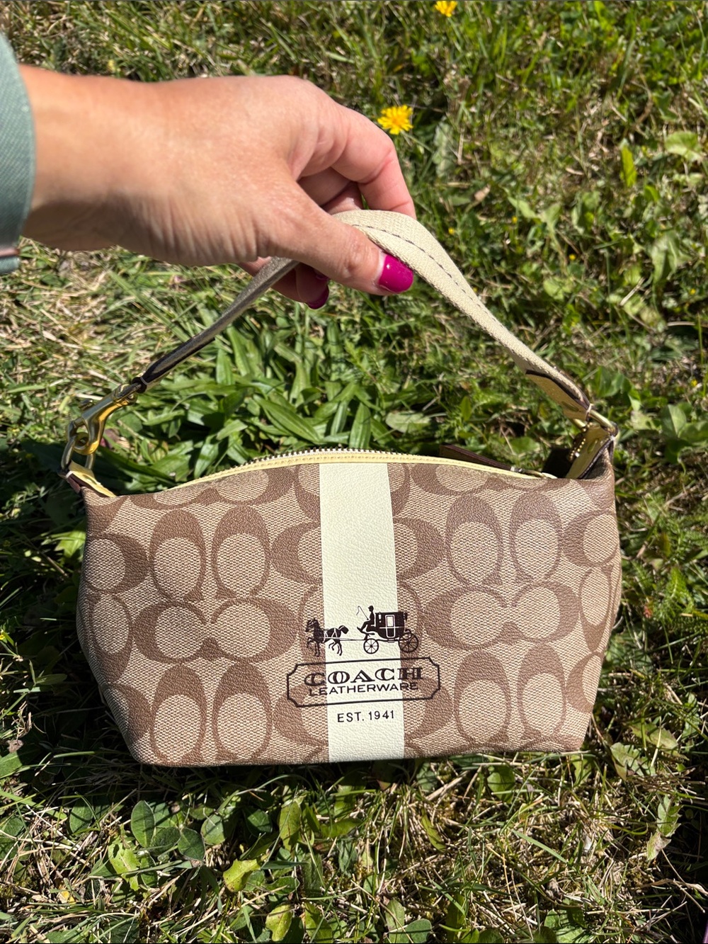 Coach Brown Signature Mini Shoulder Bag with Cream Stripe